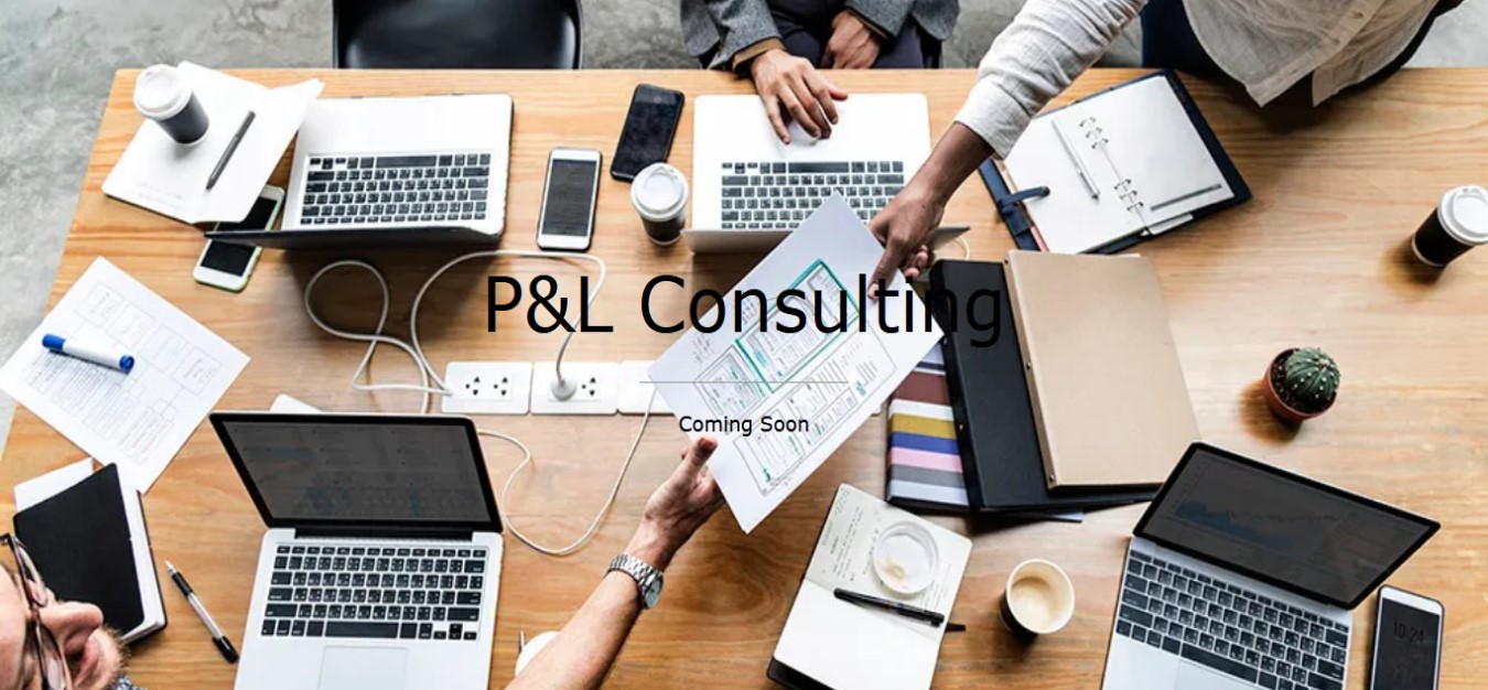 P&L Consulting